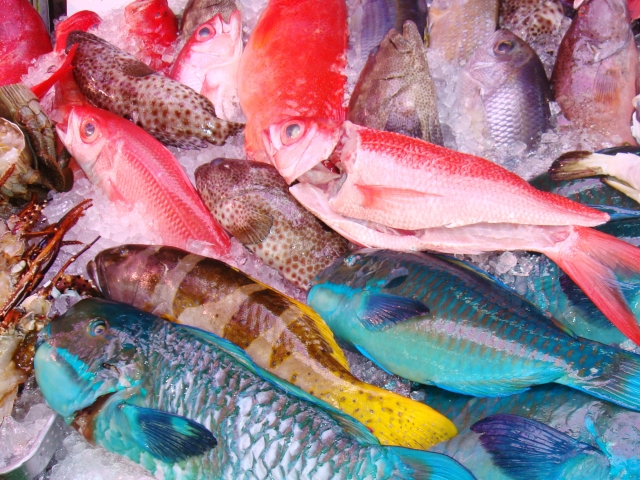 アカジンってどんな魚 沖縄の高級魚の料理や釣り方をご紹介 Leisurego Leisurego
