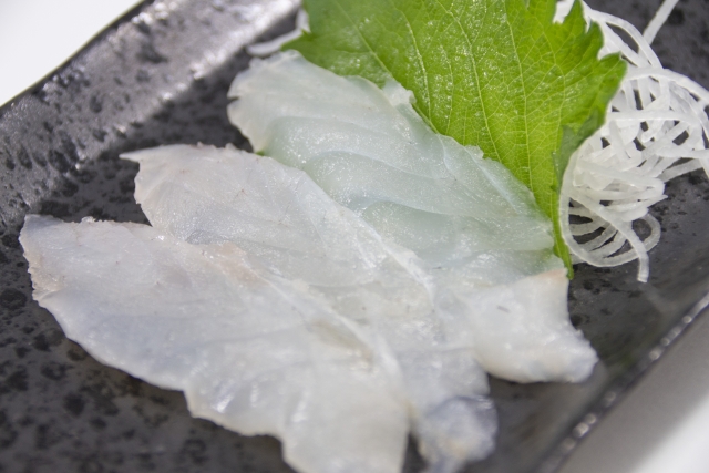 マゴチはどんな料理にも合う高級魚 おすすめ料理6選と締め方 さばき方も Leisurego Leisurego