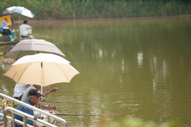 雨の日に釣りをしよう 装備などの対策や釣果アップのポイントをご紹介 Leisurego Leisurego