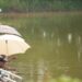 雨の日に釣りへ出かけよう！雨がもたらす多くのメリットをご紹介！